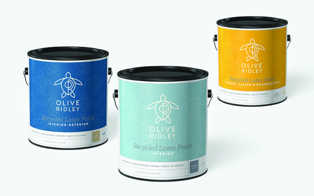 Olive Ridley Paints Packaging