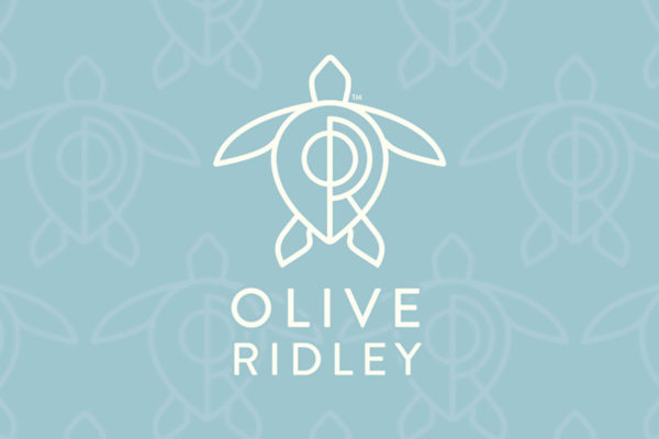 Olive Ridley Brand Identity